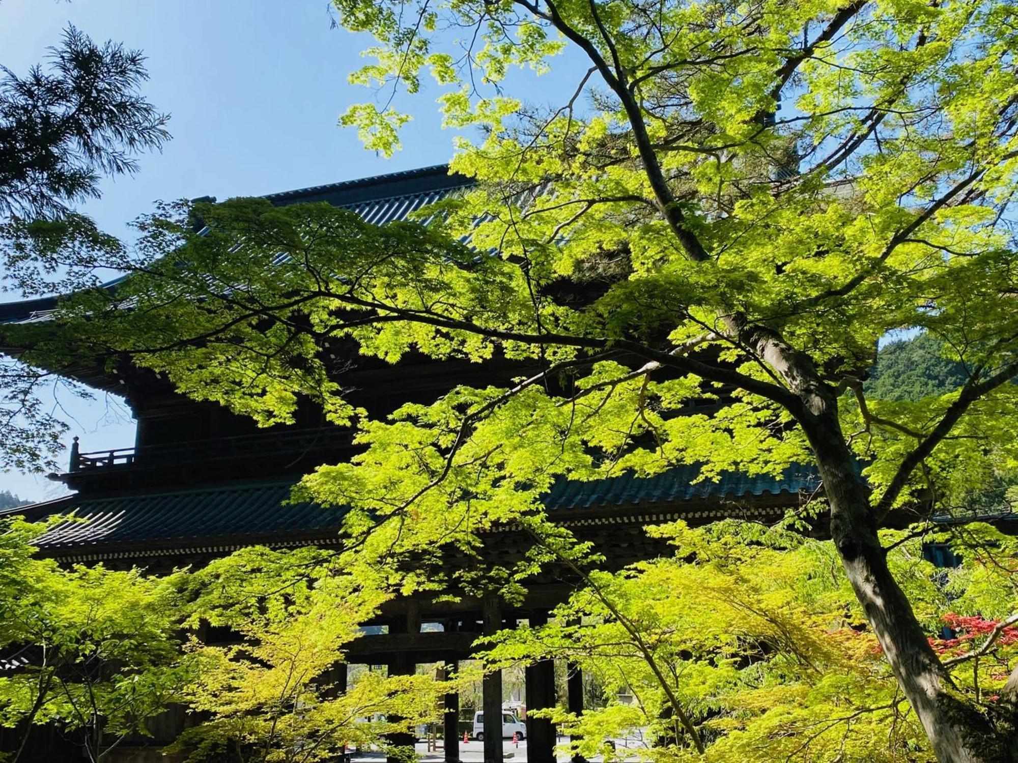 Ryokan Tanakaya Minobu Exterior photo